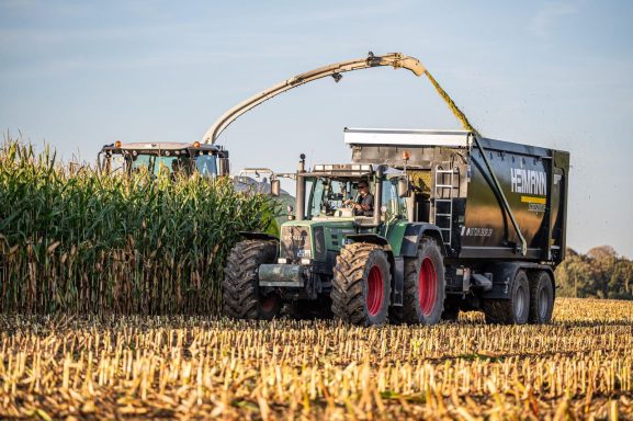 Traktor mit Maisernter und Anhänger auf einem Feld während der Erntezeit.